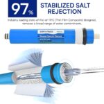 51gm8DJ4J4L._SL1100_