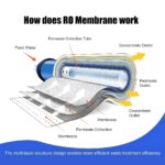 51gm8DJ4J4L._SL1100_